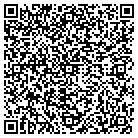 QR code with Blimpie Subs And Salads contacts