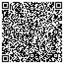QR code with Blueberry Store contacts