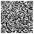 QR code with Project Fine contacts
