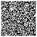 QR code with Cook Plastering Inc contacts
