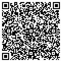 QR code with Subway contacts