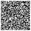 QR code with Carrboro Subway Inc contacts