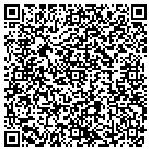 QR code with Brian A Teich Gen Contrac contacts