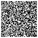 QR code with Cygnet Pizza & Subs contacts