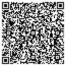 QR code with BEST WESTERN Of Wise contacts
