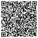 QR code with Subway contacts