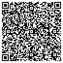 QR code with Blue Hen Auto Sales contacts