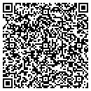 QR code with Pyramid Healthcare contacts