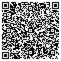 QR code with Analog Denver contacts