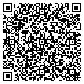 QR code with Subway contacts