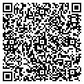 QR code with Subway contacts