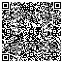 QR code with County Gun & Pawn Inc contacts
