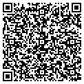 QR code with Subway contacts