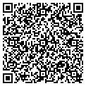 QR code with Subway contacts