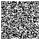 QR code with Charles A Depfer Do contacts