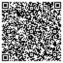 QR code with Blue Hen Auto Sales 2 contacts