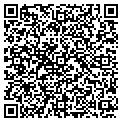 QR code with Pawnit contacts
