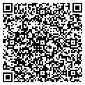 QR code with Pawnit contacts