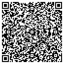 QR code with Blue Mercury contacts