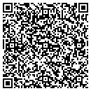 QR code with Pyrmid Title & Marble contacts