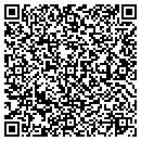 QR code with Pyramid Investigation contacts