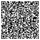 QR code with Blue Skys Telecom Inc contacts