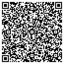 QR code with Pulaski Pawn Sales contacts