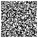 QR code with Premiere Telecom contacts