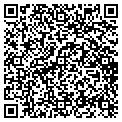 QR code with Shevy contacts