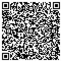 QR code with V Co contacts