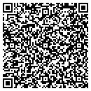 QR code with Blue Ridge Naturals contacts