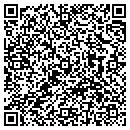 QR code with Public Works contacts