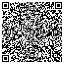 QR code with Carter Communications contacts