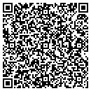 QR code with Central Water Systems contacts