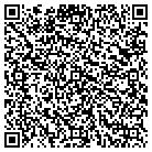 QR code with Pull It Yourself Salvage contacts