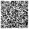 QR code with Pout contacts