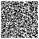 QR code with Blue Sky Chimney Sweeps contacts
