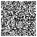 QR code with Consumer Electronics contacts