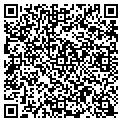 QR code with Madres contacts