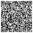 QR code with Big Rock Electronics contacts