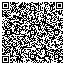 QR code with Consumer Electronics contacts