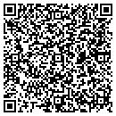 QR code with Blue Lapis Light contacts