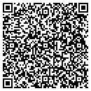 QR code with Capital Infosys LLC contacts