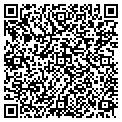 QR code with Bashas' contacts
