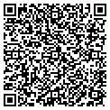 QR code with Bashas' contacts