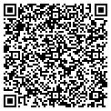 QR code with Bashas' contacts