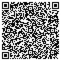 QR code with Bashas' contacts