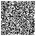 QR code with Bashas' contacts