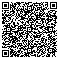 QR code with Bashas' contacts