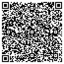 QR code with Practical Computing contacts